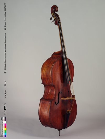 Contrebasse