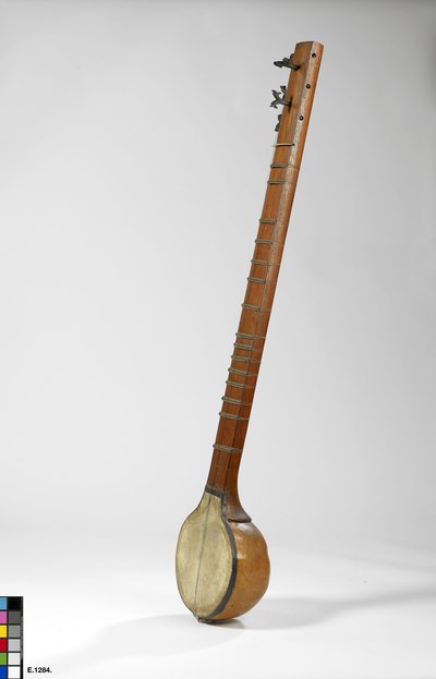 Luth à manche long type "sitar"