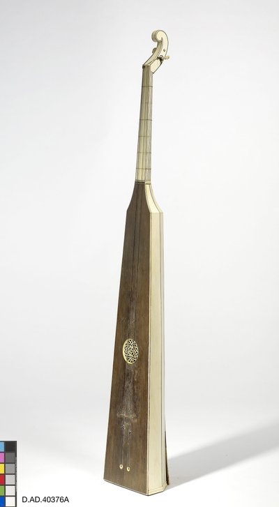 Trompette marine