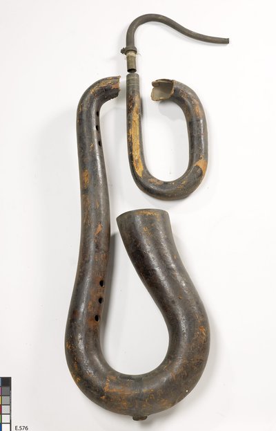 Serpent militaire