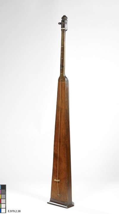 Trompette marine