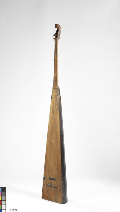 Trompette marine
