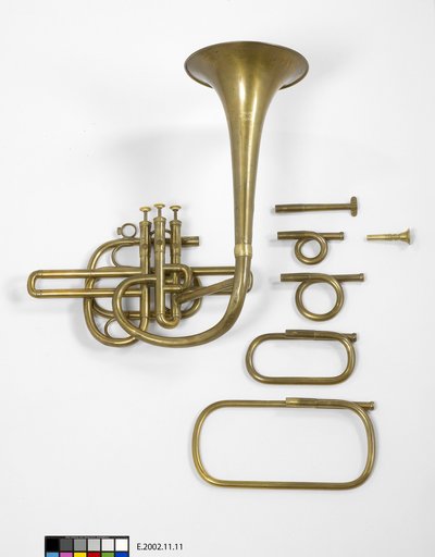 Embouchure de néocor