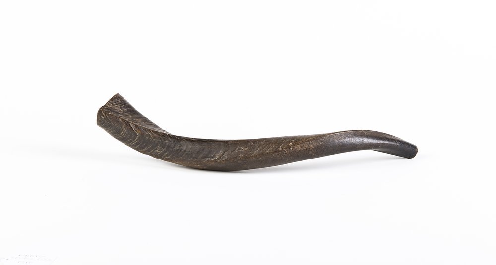 Instrument image