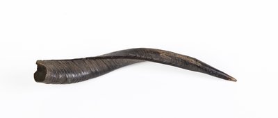 Cor à embouchure latérale