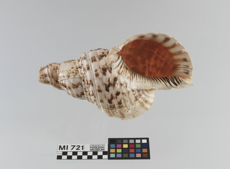 Instrument image