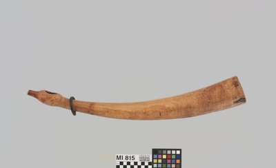 Querhorn