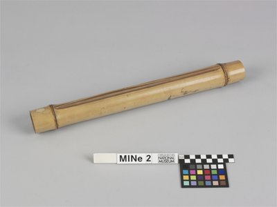Stammsaitige Röhrenzither