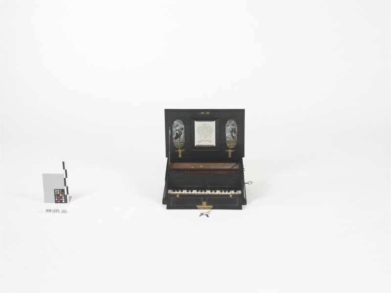 Instrument image