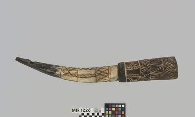 Querhorn