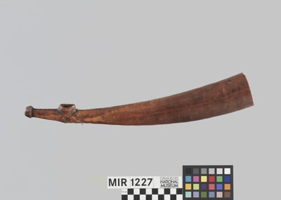 Querhorn