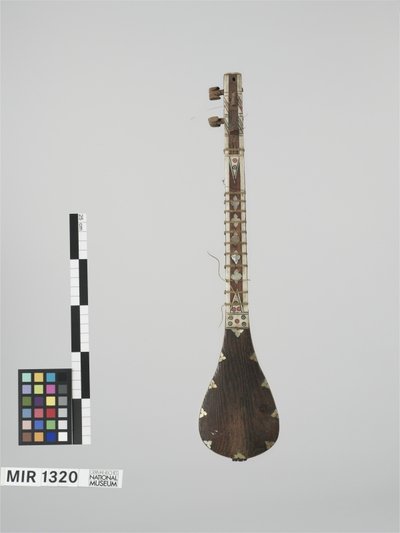 Saz (Mischwirbellaute)