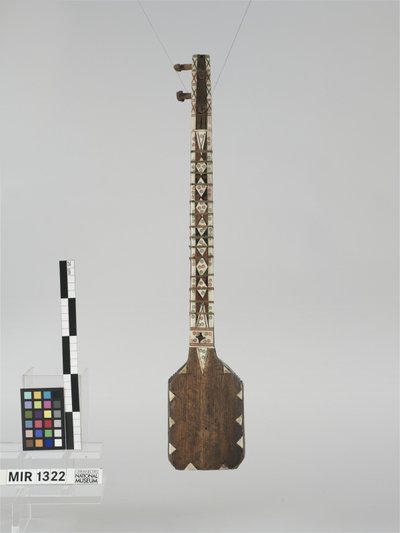 Saz (Mischwirbellaute)