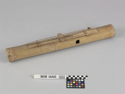 Stammsaitige Trommelzither