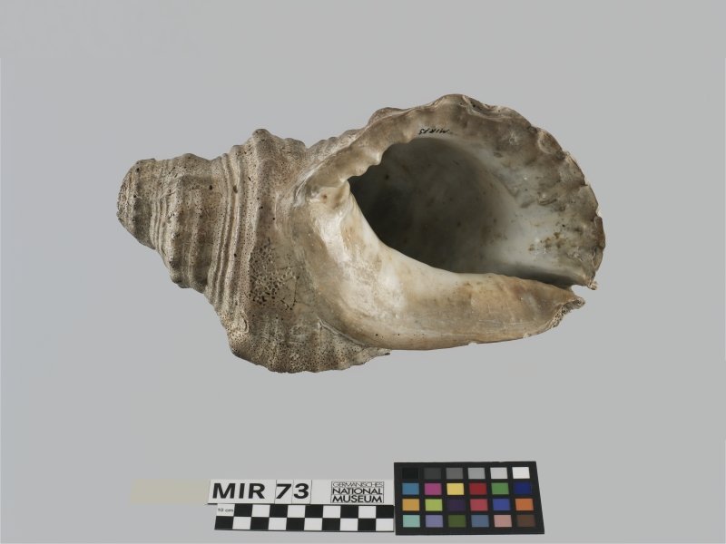 Instrument image