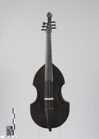 Viola da Gamba (Tenorlage)