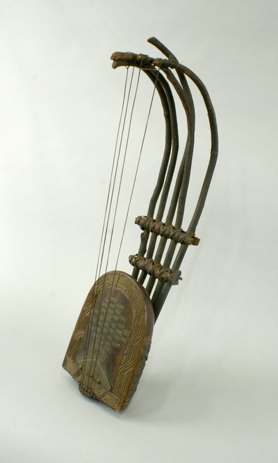 pluriarc