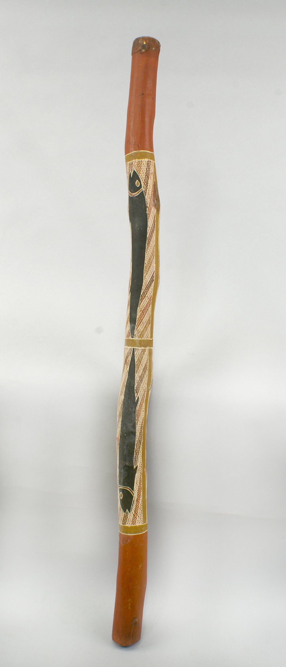 Instrument image