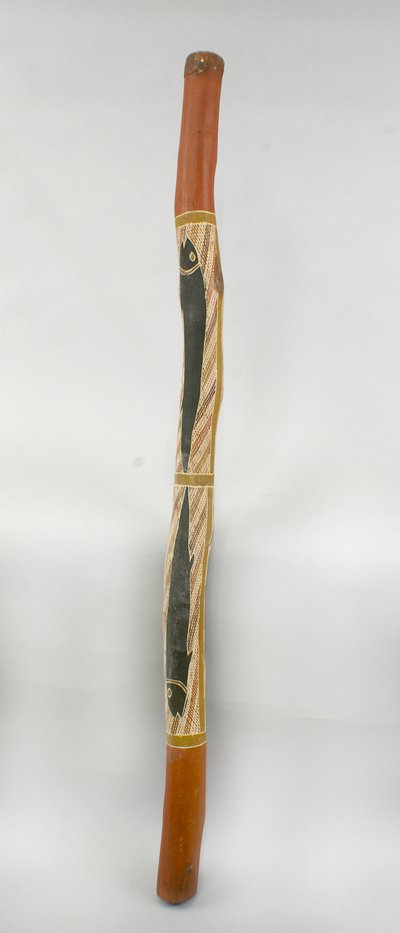didjeridu