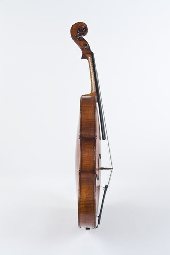 viola, contralto