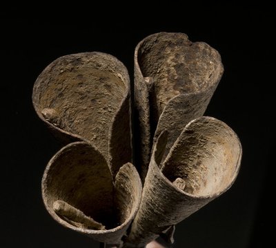 Klepelklok