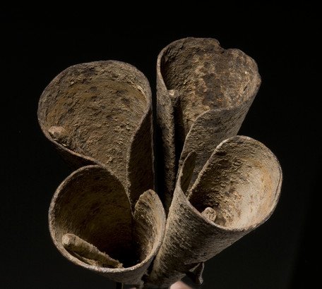 Instrument image