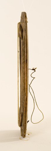 Trogciter