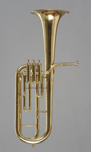 Altsaxhoorn