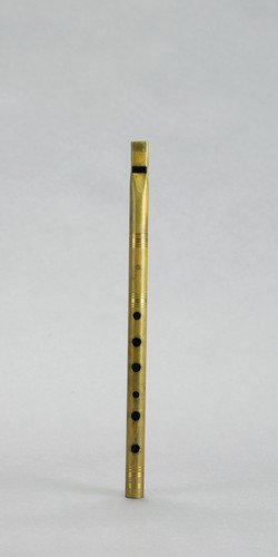 tin whistle