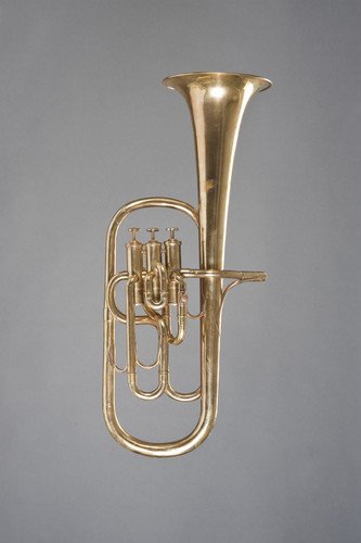 Altsaxhoorn