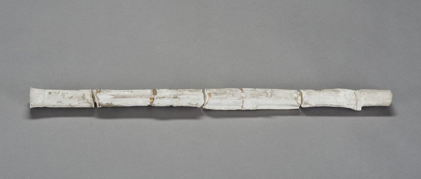 Instrument image