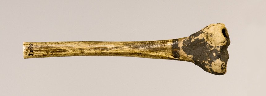 Instrument image