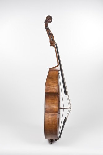 experimentele viola da gamba