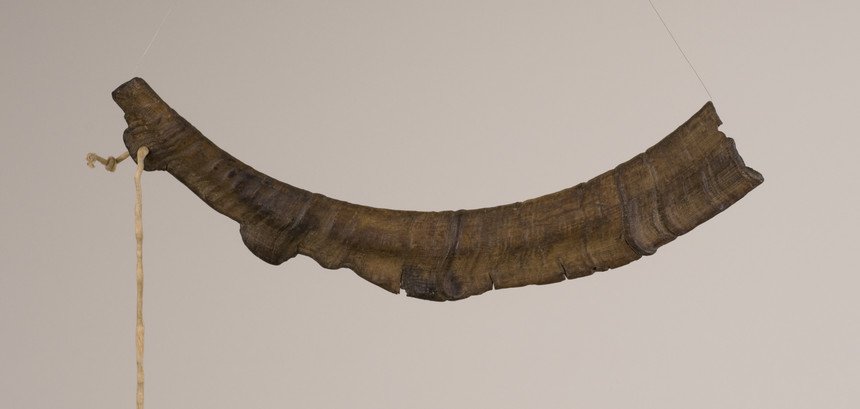 Instrument image