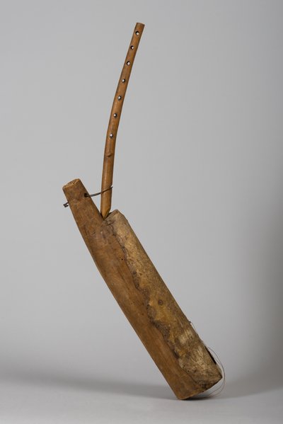 ngombi