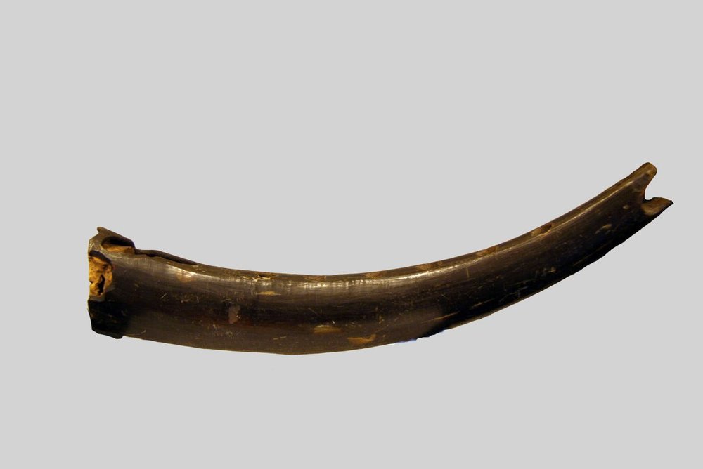 Instrument image