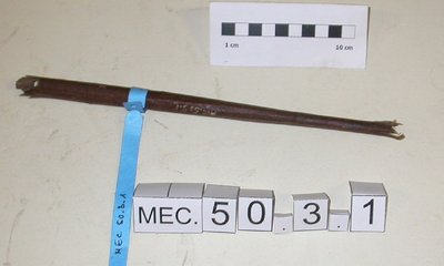 Flûte à conduit en écorce "fisculélla" "fisculètta" "fisculòne"