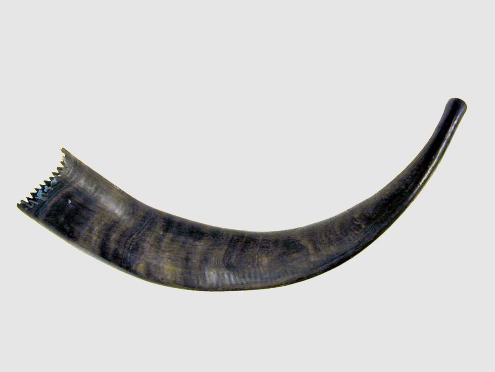 Instrument image
