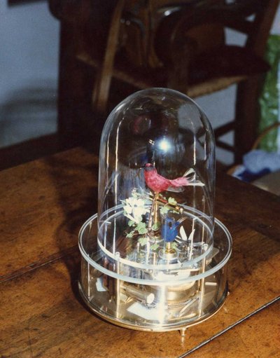 Deux oiseaux sous cloche plastique