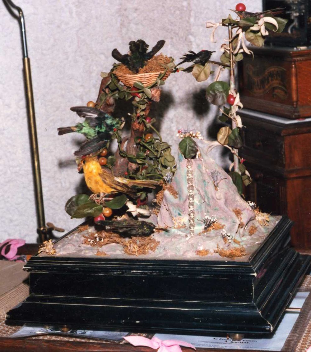 Instrument image