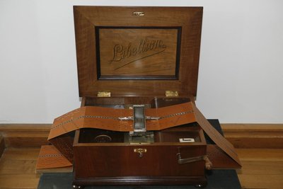 Boîte à musique à cartons "Libellion"