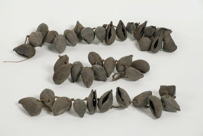 Sonnailles de danse (végétales)