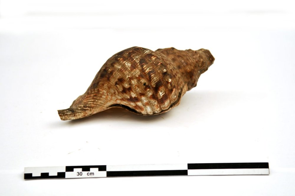 Instrument image