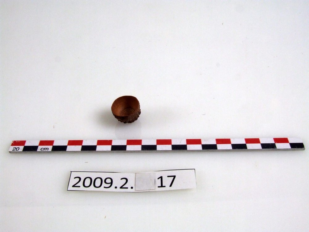 Instrument image