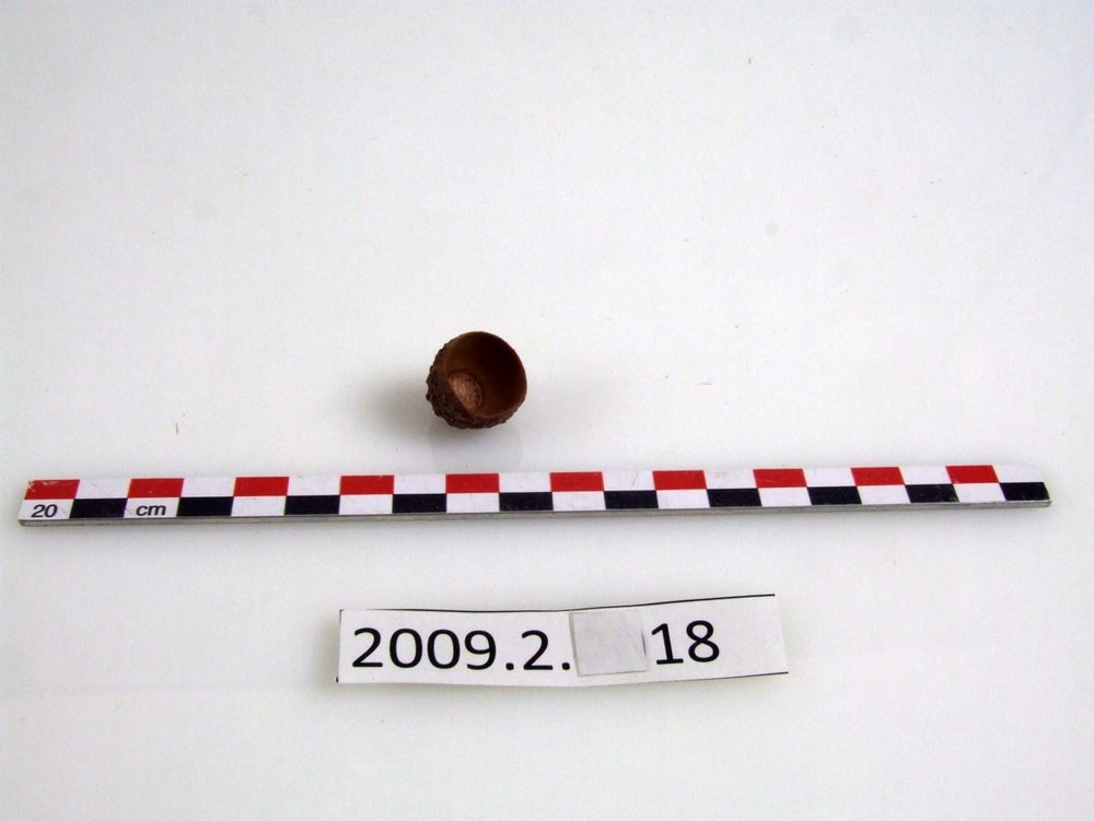 Instrument image