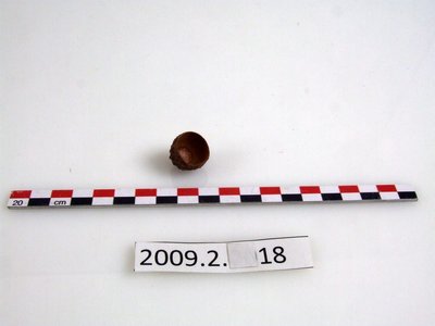 Cupule sifflet