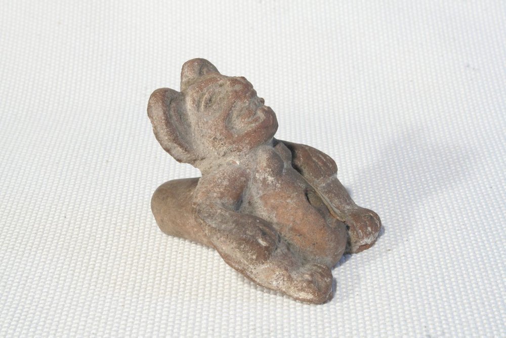 Instrument image