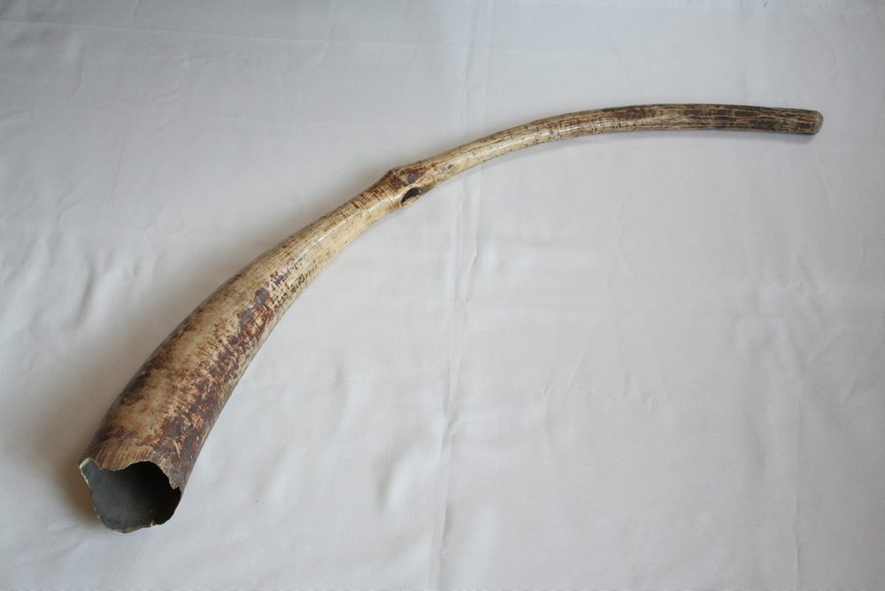 Instrument image