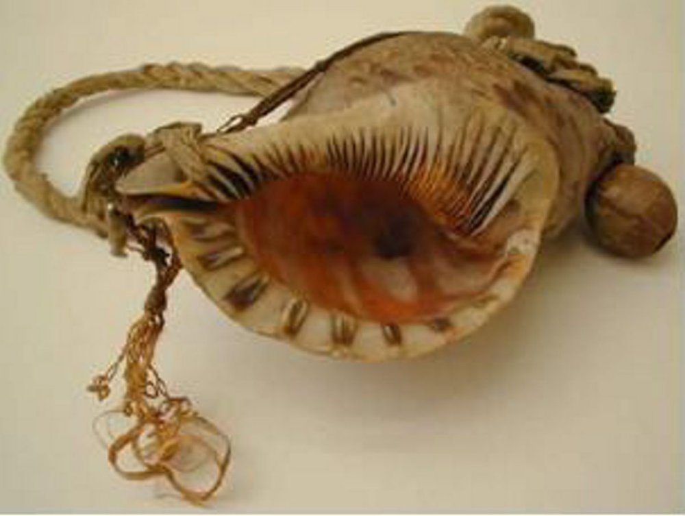 Instrument image
