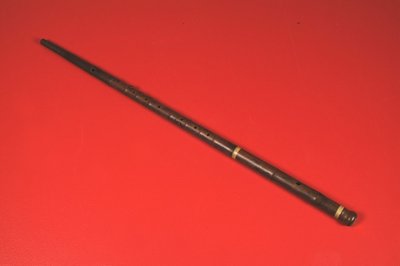 Flûte "canne-flûte"